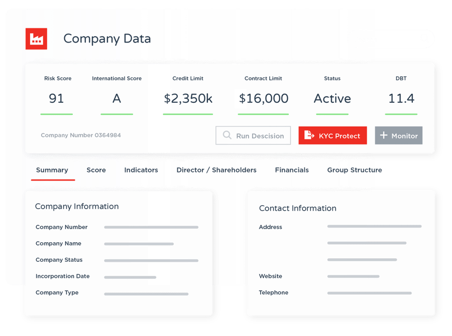 Company Summary